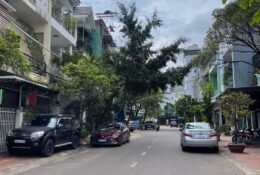 Bán Nhà Mặt Tiền Đường Thanh Niên Quang Trung Tp Quy Nhơn