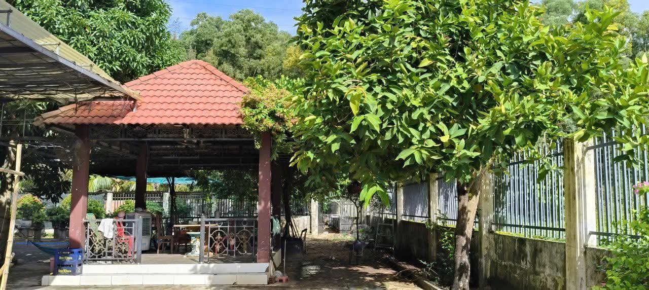 Bán Biệt Thự TDC Nhơn Phước Nhơn Hội Quy Nhơn Bình Định