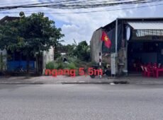 CẦN BÁN LÔ ĐẤT MẶT TIỀN NHƠN LỘC (AN NHƠN TÂY), TX AN NHƠN