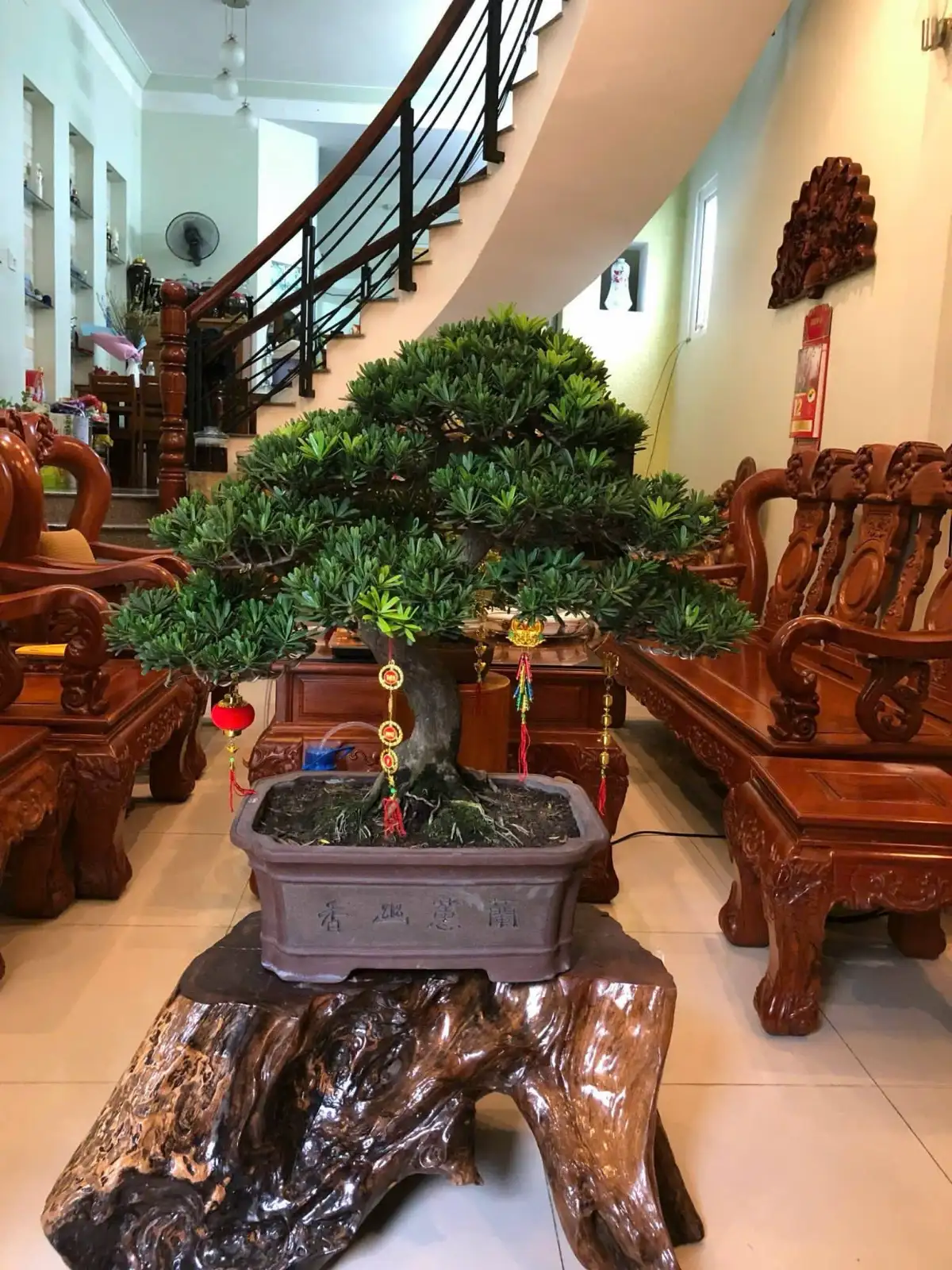 Bán Nhà Quy Nhơn Hẻm Nội Bộ Hà Huy Tập Phường Trần Phú