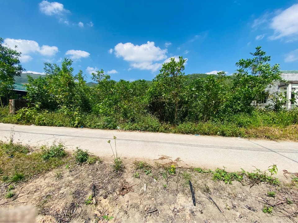 BÁN ĐẤT VƯỜN PHƯỚC MỸ – QUY NHƠN | DIỆN TÍCH LỚN – THẾ ĐẤT ĐẸP – GIÁ TỐT