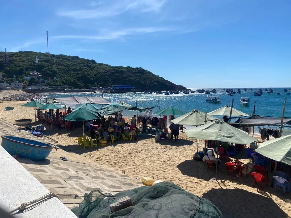 Bán Đất Mặt tiền Biển Nhơn Lý Tp Quy Nhơn 310m2 Giá Tốt