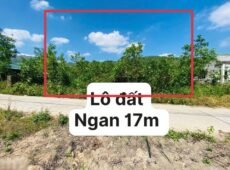 BÁN ĐẤT VƯỜN PHƯỚC MỸ – QUY NHƠN | DIỆN TÍCH LỚN – THẾ ĐẤT ĐẸP – GIÁ TỐT