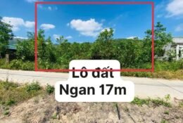 BÁN ĐẤT VƯỜN PHƯỚC MỸ – QUY NHƠN | DIỆN TÍCH LỚN – THẾ ĐẤT ĐẸP – GIÁ TỐT