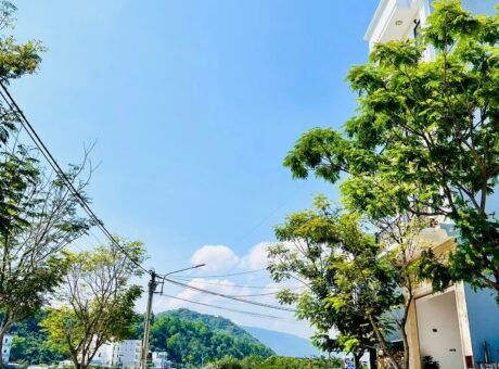 Bán Đất Đường Trần Thủ Độ View Sông Hoa Lư Thành Phố Quy Nhơn