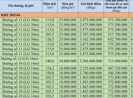 Thông báo đấu giá 32 lô đất khu dân cư núi mồ côi phường Quy Nhơn Bắc