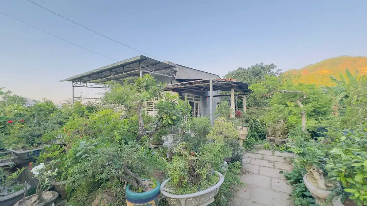 BÁN NHÀ VƯỜN XÃ PHƯỚC MỸ, QUY NHƠN – 1.700M² ĐẤT, CÓ THỔ CƯ, GIÁ CHỈ 3,1 TỶ