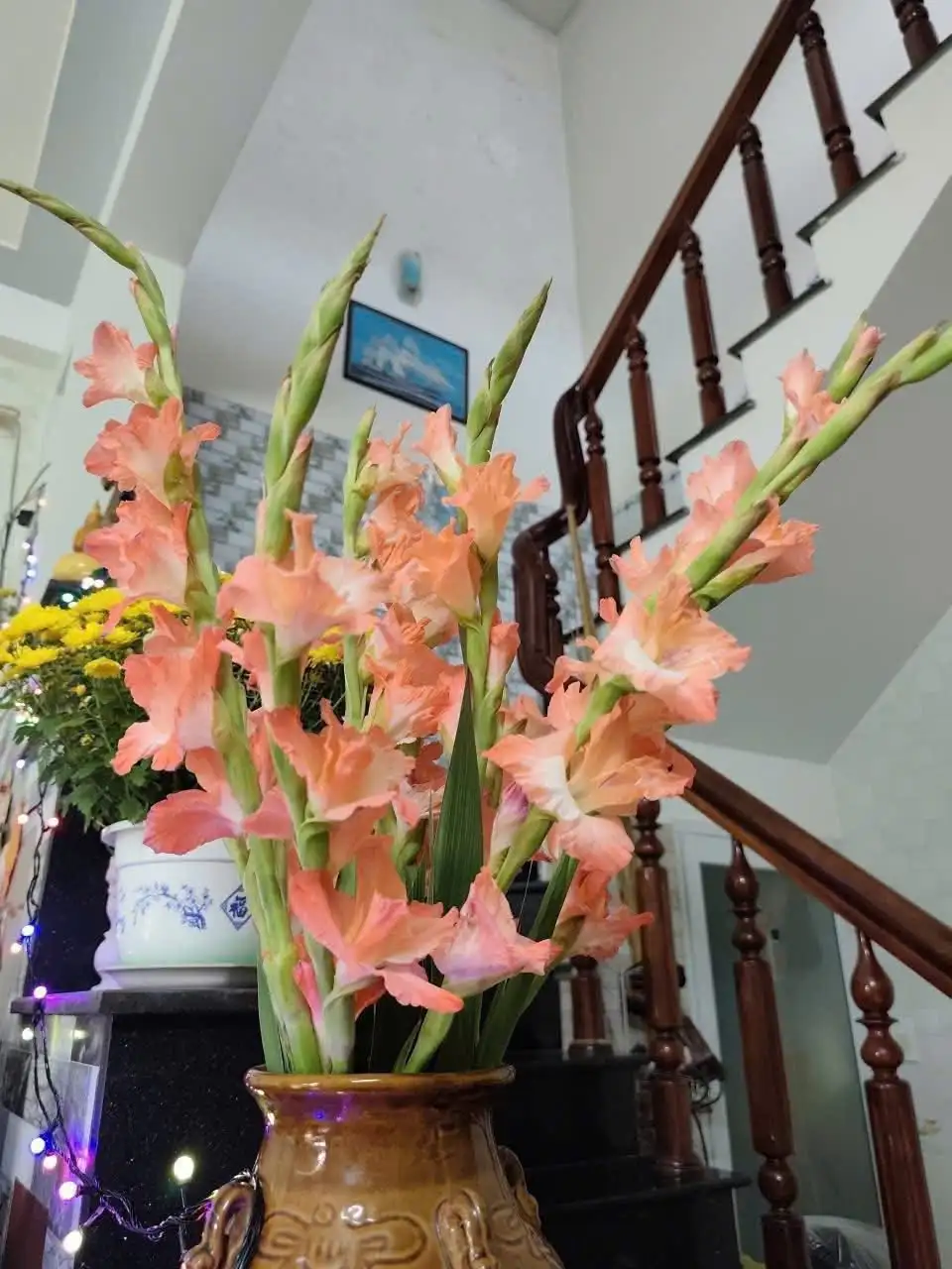 Bán Nhà Quy Nhơn 1 Trệt 1 Lầu Phường Quy Nhơn Bắc, Gần FPT Long Vân