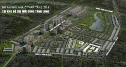 Có Nên Đầu Tư Đông Tăng Long Năm 2026? 6 Góc Nhìn Nhà Đầu Tư Không Nên Bỏ Qua