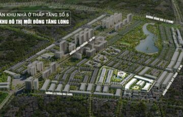 Có Nên Đầu Tư Đông Tăng Long Năm 2026? 6 Góc Nhìn Nhà Đầu Tư Không Nên Bỏ Qua