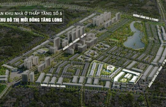 Có Nên Đầu Tư Đông Tăng Long Năm 2026? 6 Góc Nhìn Nhà Đầu Tư Không Nên Bỏ Qua
