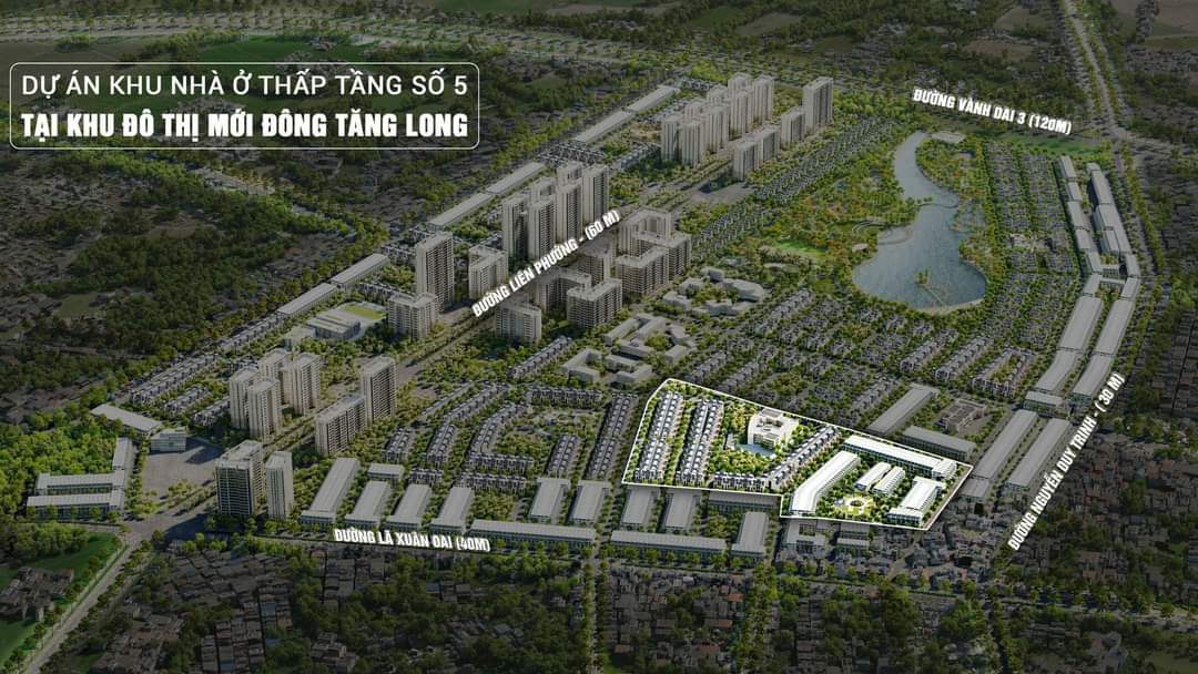 Có Nên Đầu Tư Đông Tăng Long Năm 2026? 6 Góc Nhìn Nhà Đầu Tư Không Nên Bỏ Qua