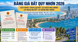 Bảng giá đất Quy Nhơn 2026 mới nhất: Giá từng tuyến đường, khu vực