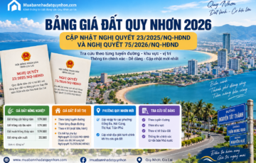 Bảng giá đất Quy Nhơn 2026 mới nhất: Giá từng tuyến đường, khu vực