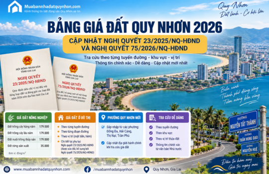 Bảng giá đất Quy Nhơn 2026 mới nhất: Giá từng tuyến đường, khu vực