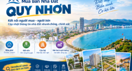 Mua Bán Nhà Đất Quy Nhơn – Tìm Nhà Đất Chính Chủ, Giá Tốt Minh Bạch