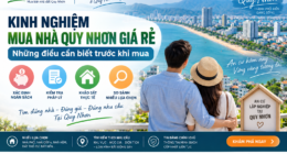 Kinh nghiệm mua nhà Quy Nhơn giá rẻ: Những điều cần biết trước khi mua