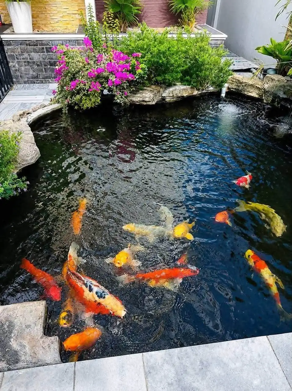 🏡 BÁN BIỆT THỰ 3 TẦNG PHÙ MỸ NAM – 300M², NGANG 12M, GIÁ CHỈ 3,5 TỶ!